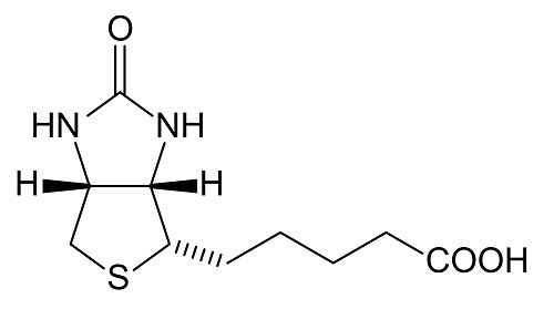 Chemical structure of biotin